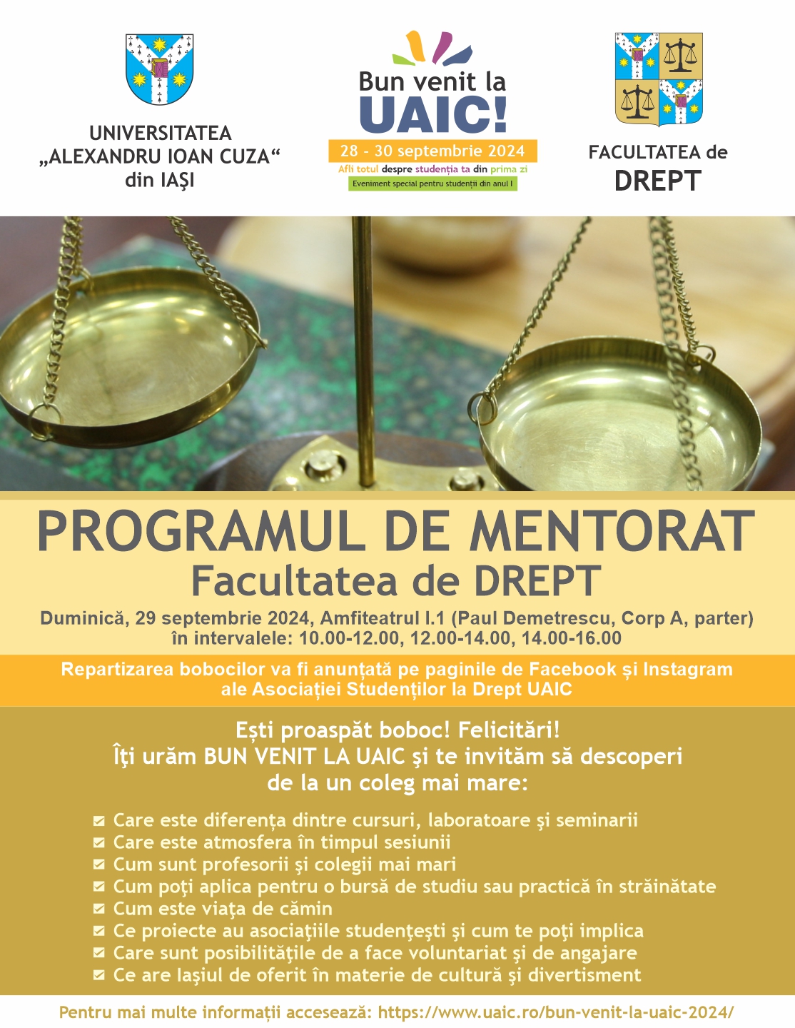 Program de mentorat (se adresează anului I)